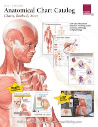 Anatomical Chart Catalogue 2018 Scientific Publishing By