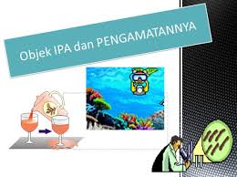 We did not find results for: Ppt Objek Ipa Dan Pengamatannya Materi Ipa Smp Mts K13