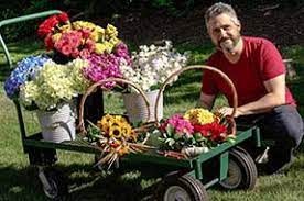 Maybe you would like to learn more about one of these? New Hampshire Florists Flowers Avas Flowers