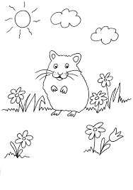 Coloriage A Imprimer Cochon D Inde Dans Le Jardin