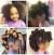 Black Flower Girl Hairstyles With Tiara