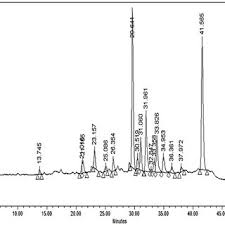 Image result for Pseudoconyza