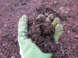 How To Prepare Soil For Garden Hgtv