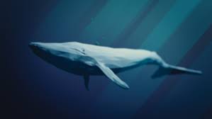 (do not witch hunt anyone mentioned/showned in this video)recently* a new challenge has popped up with a new coat of paint, similar to the blue whale challen. Jonathan Galindo Ist Die Blue Whale Challenge Zuruck Badango