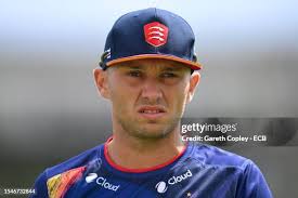 97 Hawks Beard Stock Photos, High-Res Pictures, and Images