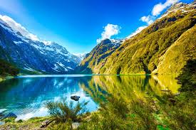 Connect to real estate agents in new zealand on century 21 global. Driving In New Zealand Travel Guide July 2021 Ida