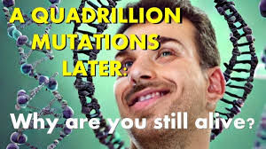 Creationism and the Church