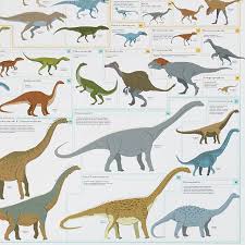 dinosaur chart kinds of dinosaurs prehistoric animals