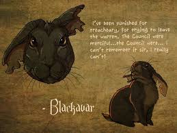 See full list on watershipdown.fandom.com Pin On Warrior Cats