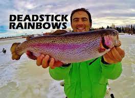 How To Catch Big Rainbows Dead Stick Fly Fishing Tips Fish Ice Fishing
