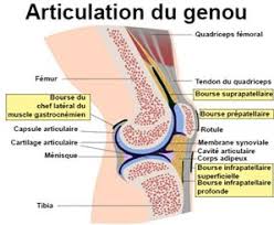 Du genou, j'ai toujours des douleurs, genou enflé, aiguilles que l'on enfonce, position debout très difficile,secousse voiture. Hygroma Symptomes Traitement Definition Docteurclic Com