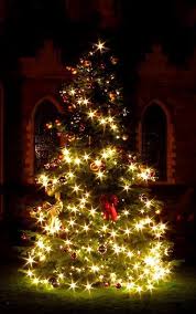 Christchurch Cathederal Christmas Tree Dublin Ireland By H Warren Paysage Noel Noel Dans Le Monde Sapin De Noel