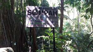 Filming will begin in may, with actor yoon shiyoon and shinhwa members eric, minwoo, as well as andy set to guest on the show. Pulau Tioman A Key Malaysian Ecosystem Iucn