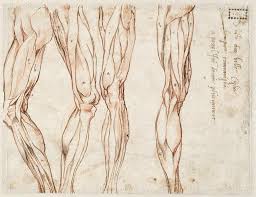 View thumbnail view thumbnail view. Michelangelo Mind Of The Master