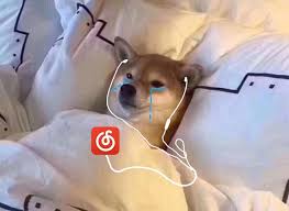 Cat listening to music crying. Netease To Provide Counseling Services For Depressed Music Fans Laptrinhx News