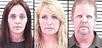 Watch: Massive amount of bees swarm Idaho family's yard