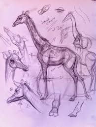 Recent Demos At The Zoo And Page Museum Animal Drawings Animal Sketches Animal Art