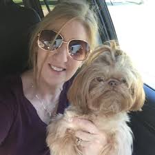 Pampered paws Imperial Shih-Tzu's