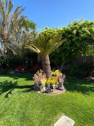 Fresno Plant Exchange Home Facebook