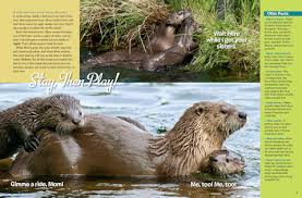 Check spelling or type a new query. River Otters Nwf Ranger Rick