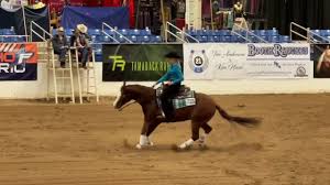Free and fast live streaming of live cricket streaming. Tom Mccutcheon Reining Horses Aubrey Texas Farm Facebook
