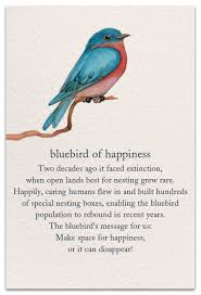 Bluebird Birthday Card Cardthartic Com Blue Bird Meant To Be Symbols And Meanings