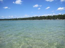 Higgins Lake Mi Reminds Me Of Growing Up And Summer Vacations Now That S Pure Michigan Cool Places To Visit Otsego Lake Michigan Vacations