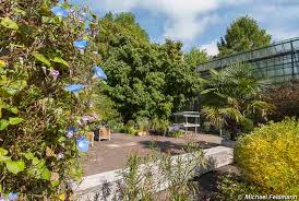 Willkommen im botanischen garten der universität ulm. Botanischer Garten Wurzburg