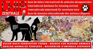 Posted on may 8, 2018 by lahir baru — leave a reply. Anjing Hilang Kucing Hilang Dijumpai Internationale Hunde Katzen Datenbank