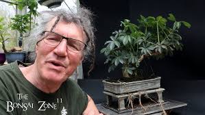 Happy 60th Birthday Nigel Saunders, The Bonsai Zone!