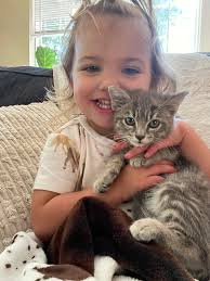 This boy is looking for his forever home!