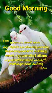 Do you know how wonderful it is for me to wake up in your arms? Pin By Eron On Good Morning Malayalam Good Morning Image Quotes Good Morning Wishes Good Morning Images Flowers