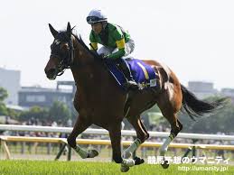 ジョディー 競走馬データtop 1月10日渥美特別 1着 競馬予想のウマニティ サンスポ ニッポン放送公認sns