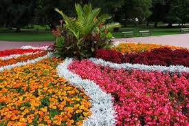 Best flowers for florida gardens. Landscaping In Florida A Season By Season Guide