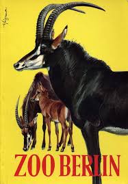 Berlin Zoo Publication Cover Zoo Art Berlin Art Zoo