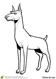 page 159 sur 254 hugolescargot com dessin chien coloriage animaux de poulet petit s
