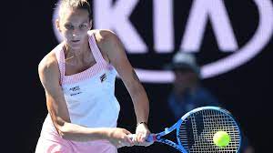 Pliskova Tennis Players
