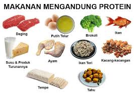 Maybe you would like to learn more about one of these? Makanan Berprotein Tinggi Bagus Untuk Bina Badan