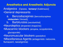 Ppt Anesthetics And Anesthetic Adjuncts Analgesics Opiates Fentanyl Sublimaze Powerpoint Presentation Id 3337181