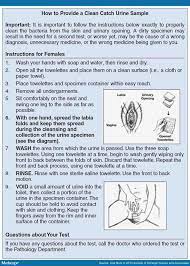 Urine Specimen Collection Adeomoade S Blog Teaching Urinal Instruction
