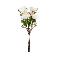 But you'll need something powerful if you want to trim it down. Adairs Spring Stems Magnolia Flower White Pots Plants Adairs