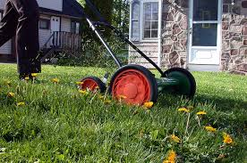 Unikatowe, personalizowane i ręcznie robione przedmioty z wystrój wnętrz naszych sklepów. Earth Friendly Lawn Care Basics Behnke Nurseries Gardening Blog