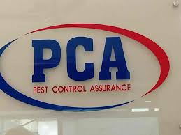 Thane pest control will be the most effective pest control services company of thane. Top Mosquito Fogging Services In Jalandhar Best Mosquito Fogging Services Justdial