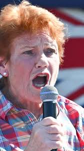 One Nation leader Pauline Hanson has confirmed her plans to step down from  the Senate and contest a lower house seat at the next election.⁣, ⁣, 📍  Read more at the link in bio.⁣, ⁣, #PaulineHanson ...