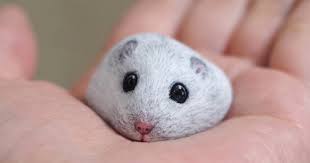 Ships from and sold by amazon.com. I Turn Stones Into Animals That Fit In The Palm Of Your Hand And I Hope They Make You Smile New Pics Bored Panda