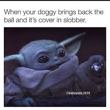 Baby Yoda On Instagram Ew Follow Babyyoda I Am For More Star Wars And Baby Yoda Share Baby Yoda With A Friend Send Yoda Funny Yoda Meme Star Wars Memes