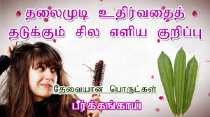 hair fall control tips in tamil home