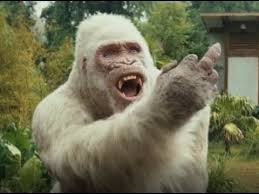 With tenor, maker of gif keyboard, add popular monkey sticking up middle finger animated gifs to your conversations. Rampage George Points Middle Finger At Davis Okoye Youtube