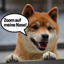Lustige videos zum totlachen von lustige unfälle, dass neuste vom neusten! Hitzewelle Lustige Bilder Bilder Und Spruche Fur Whatsapp Und Facebook Kostenlos