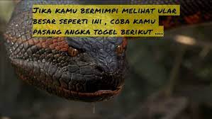Mimpi Ular Besar Dalam Angka Togel Sering Tembus
